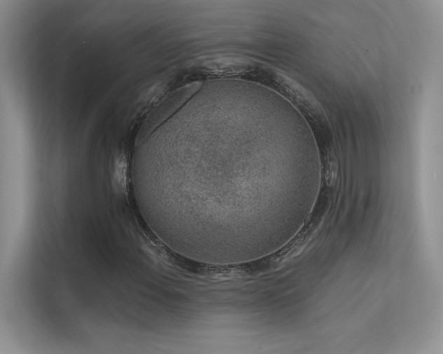 X0000112381108200908131523