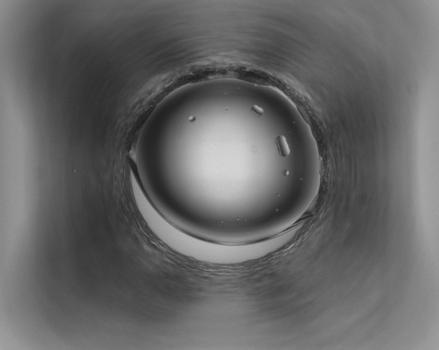 X0000112381110200908131523