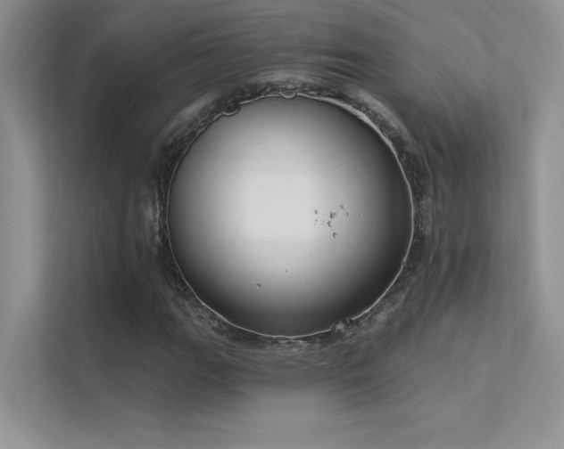 X0000112381111200908131523