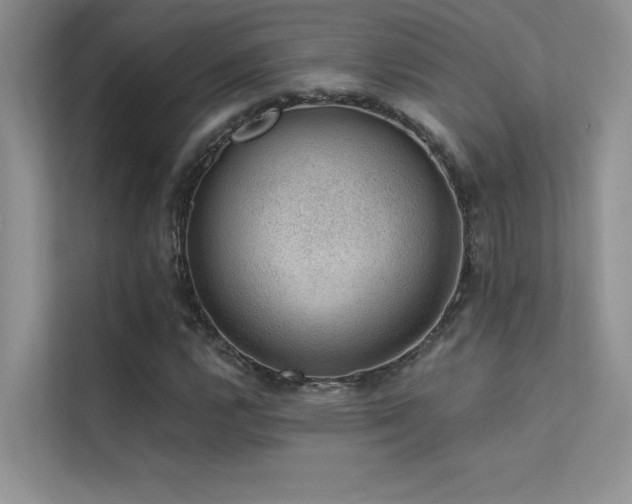 X0000112381112200908131523