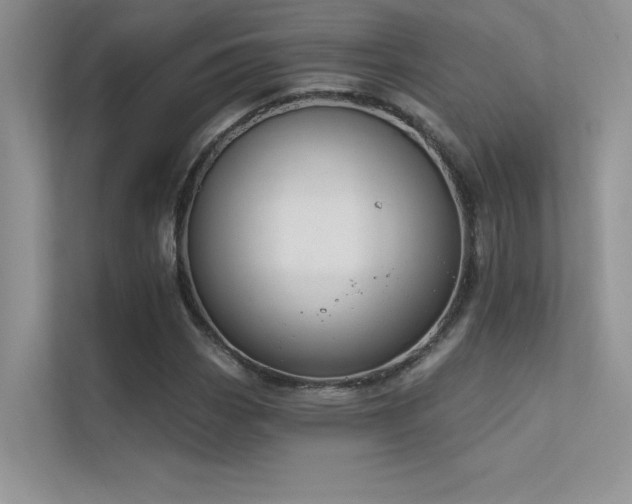 X0000112381113200908131523