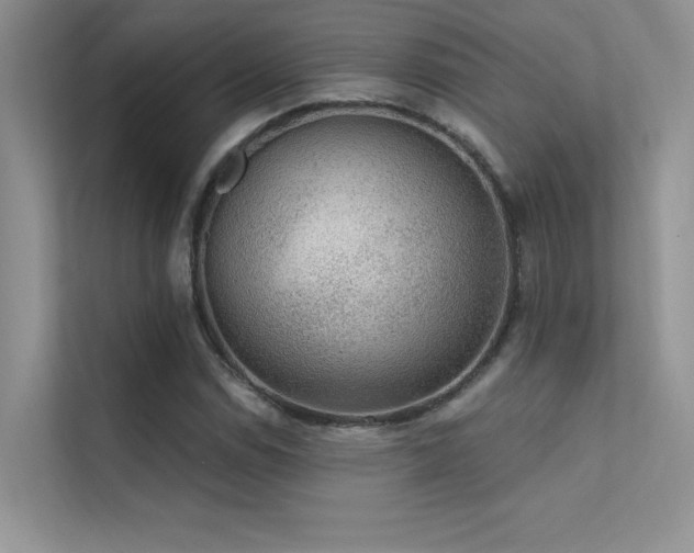 X0000112381114200908131523