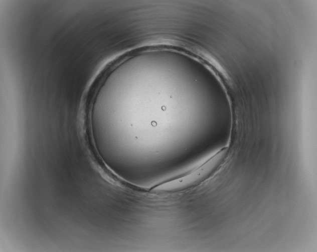 X0000112381116200908131523