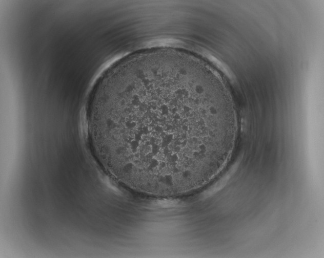 X0000112381117200908131523