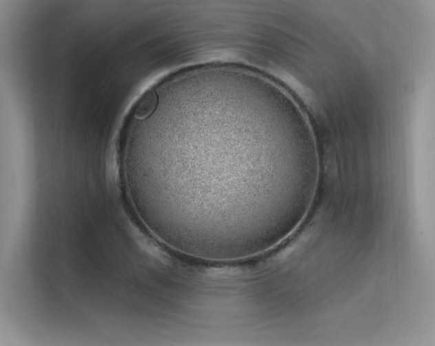 X0000112381118200908131523