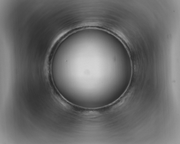 X0000112381119200908131523