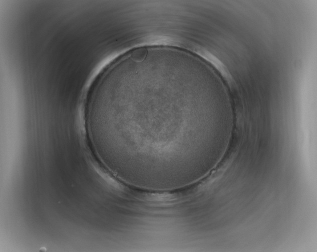 X0000112381120200908131523