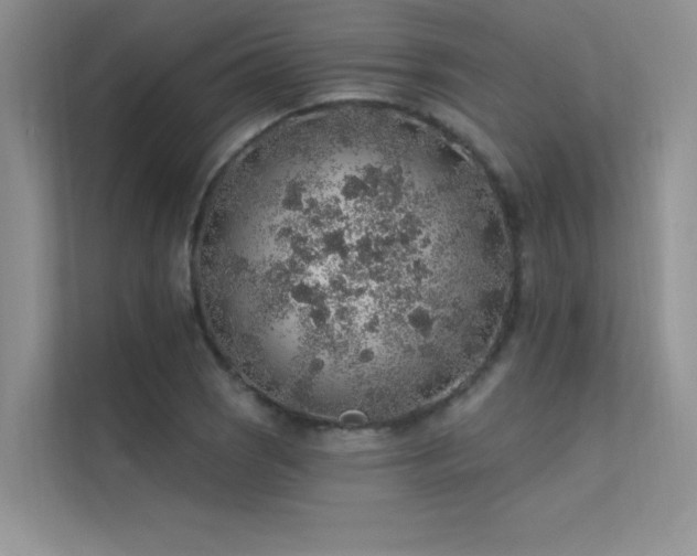 X0000112381121200908131523