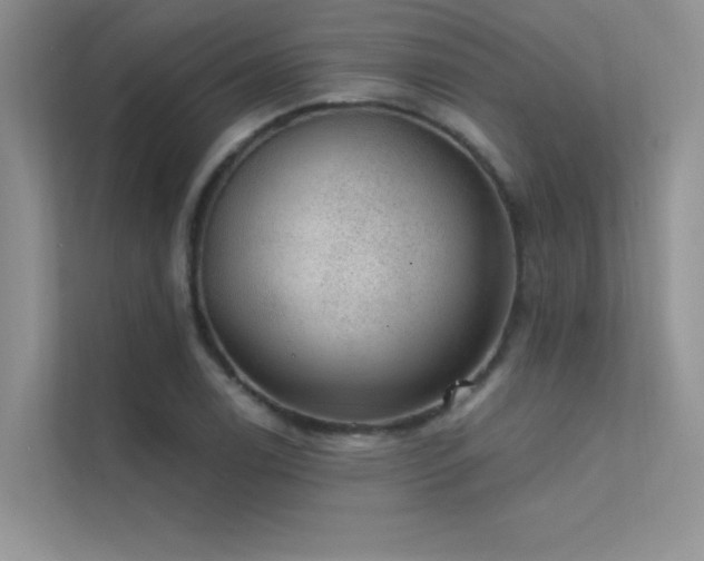 X0000112381122200908131523