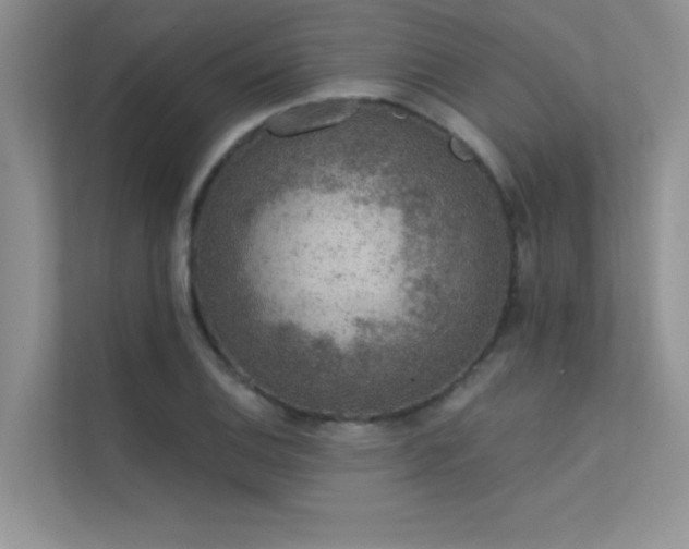 X0000112381124200908131523