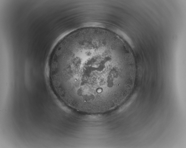 X0000112381125200908131523