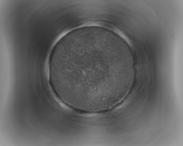 X0000112381127200908131523