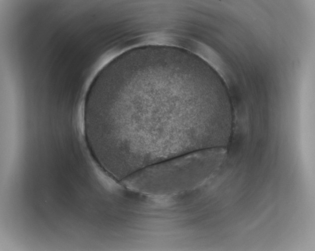 X0000112381128200908131523