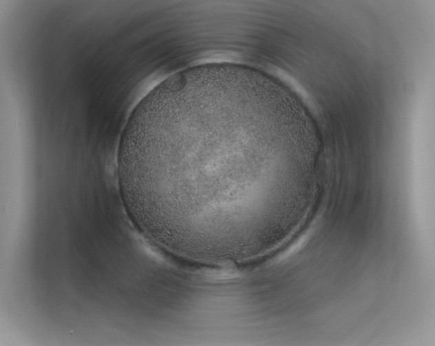 X0000112381129200908131523