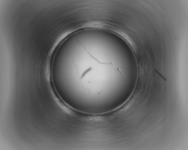 X0000112381131200908131523