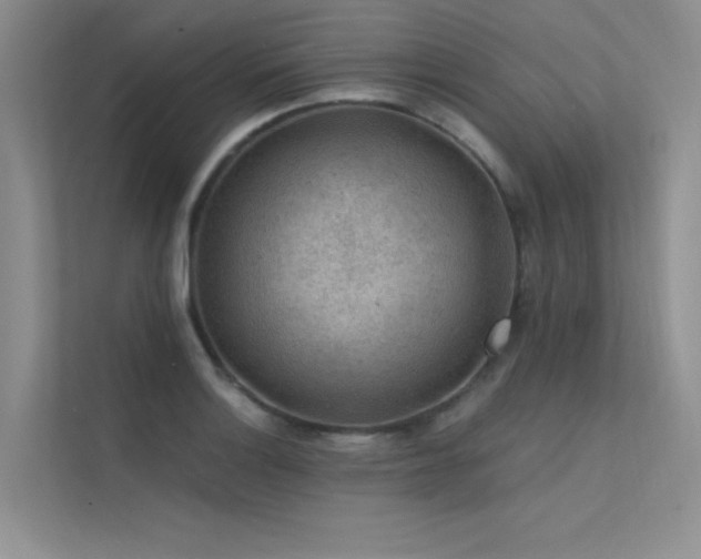 X0000112381132200908131523