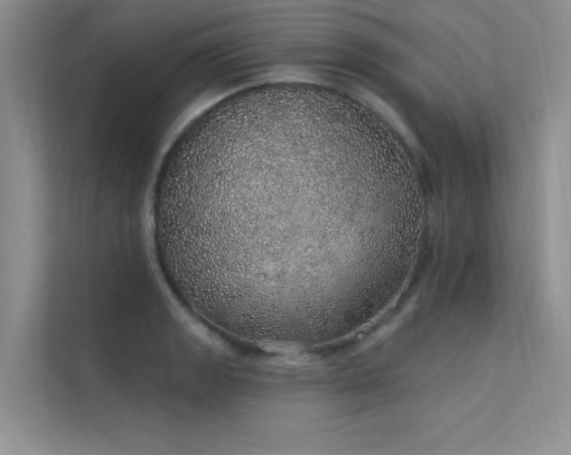 X0000112381133200908131524