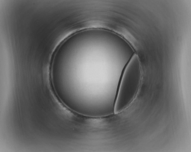 X0000112381134200908131524