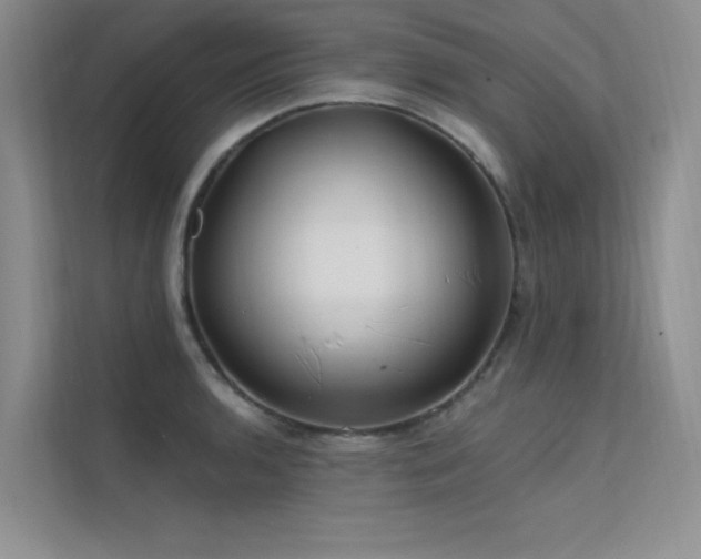 X0000112381136200908131524