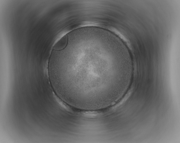 X0000112381137200908131524