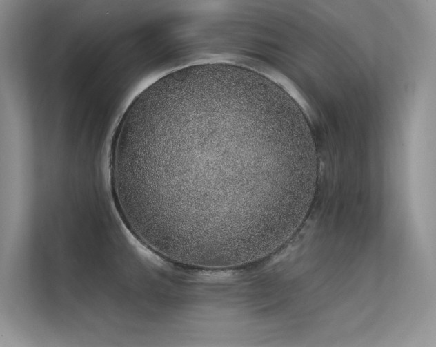 X0000112381143200908131524