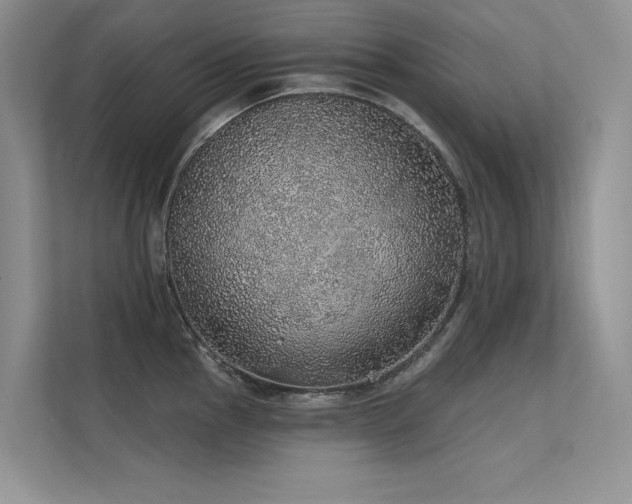 X0000112381145200908131524