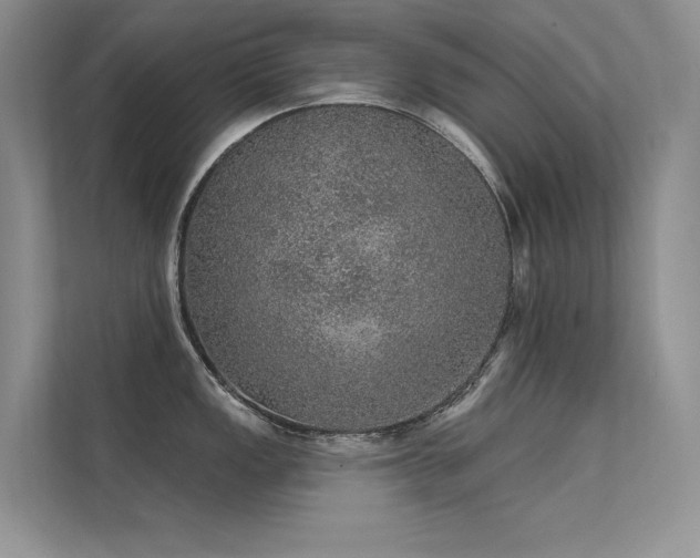 X0000112381149200908131524