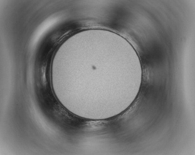 X0000112381150200908131524