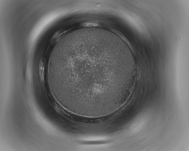 X0000112381151200908131524