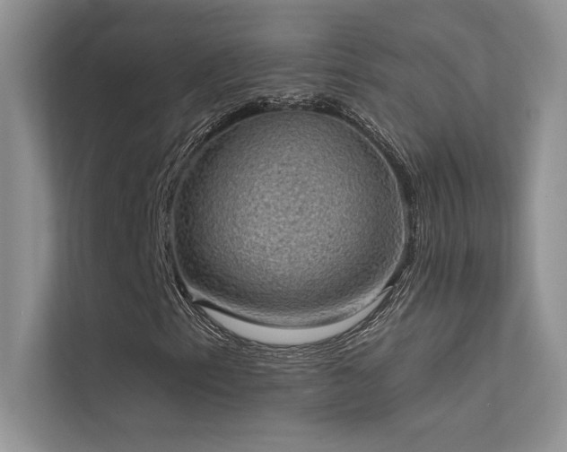 X0000112381153200908131523