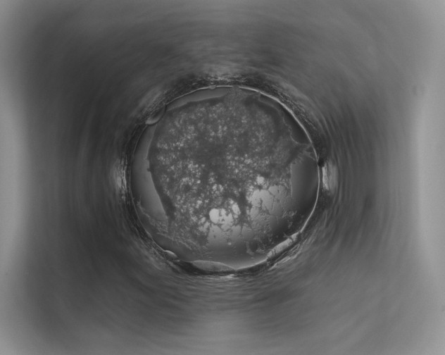 X0000112381155200908131523