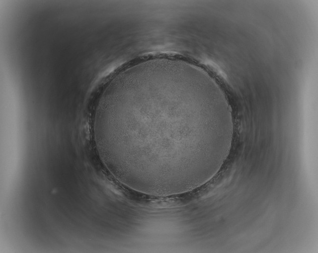 X0000112381159200908131523