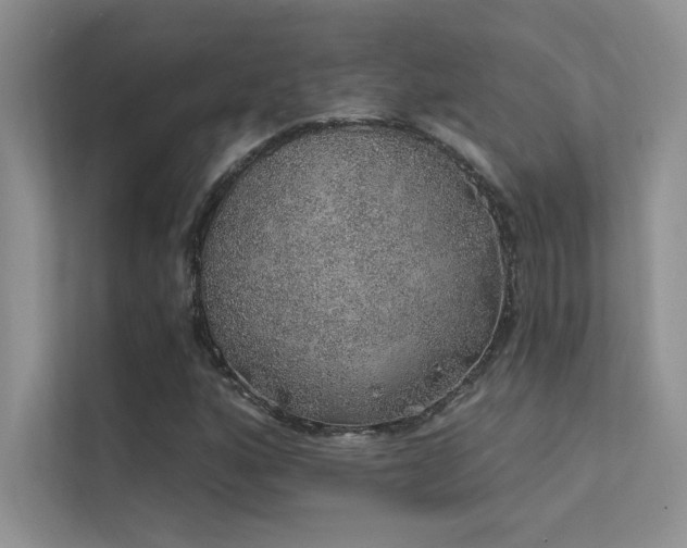 X0000112381160200908131523