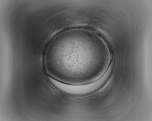 X0000112381161200908131523