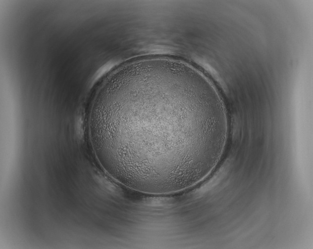 X0000112381163200908131523