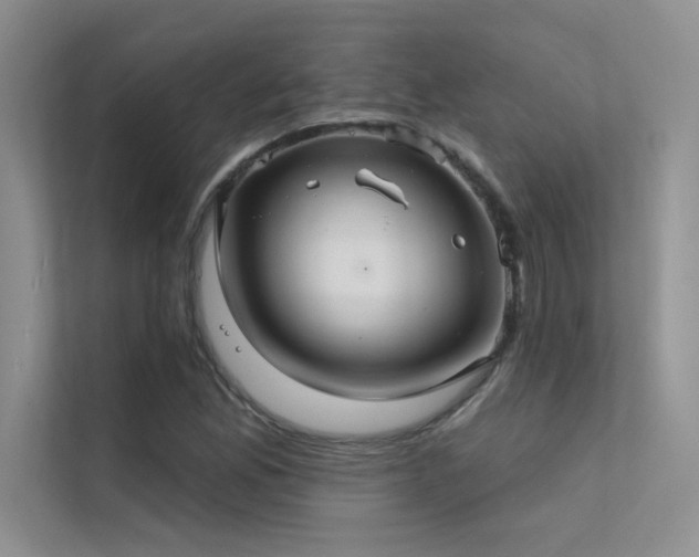 X0000112381165200908131523