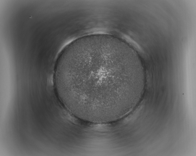 X0000112381166200908131523