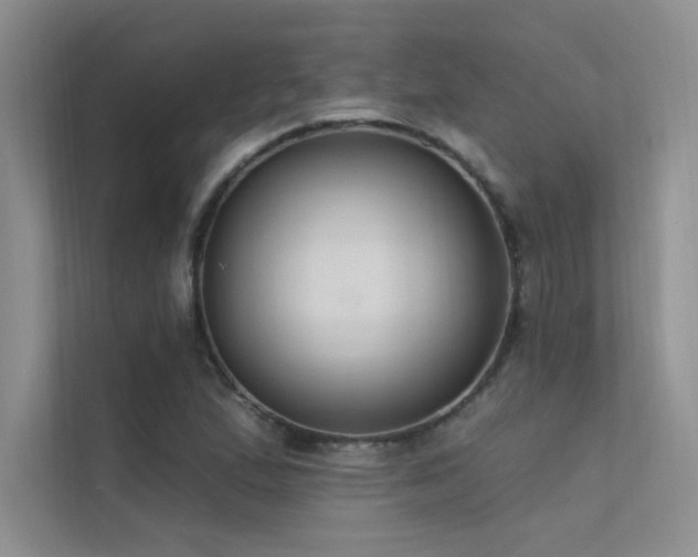 X0000112381167200908131523