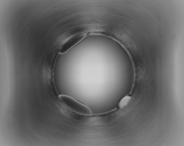 X0000112381169200908131523