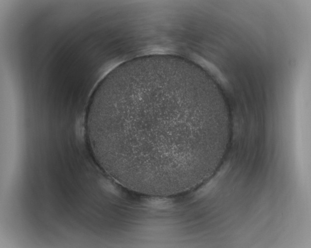 X0000112381170200908131523