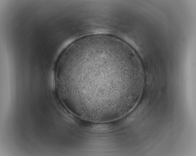 X0000112381171200908131523