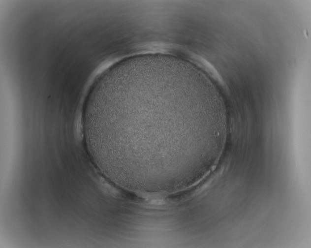 X0000112381172200908131523