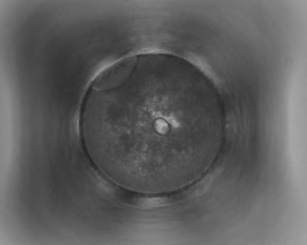 X0000112381173200908131523