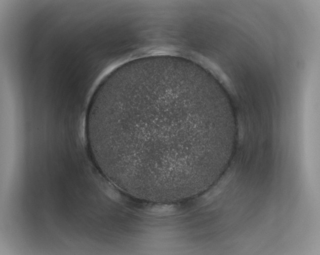 X0000112381174200908131523