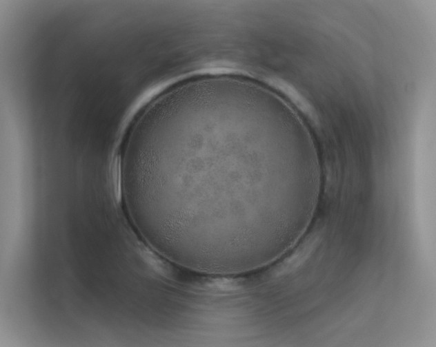 X0000112381175200908131523