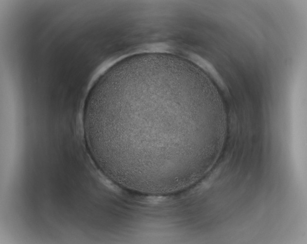 X0000112381176200908131523