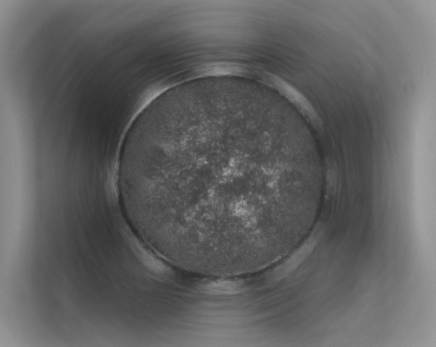 X0000112381178200908131523