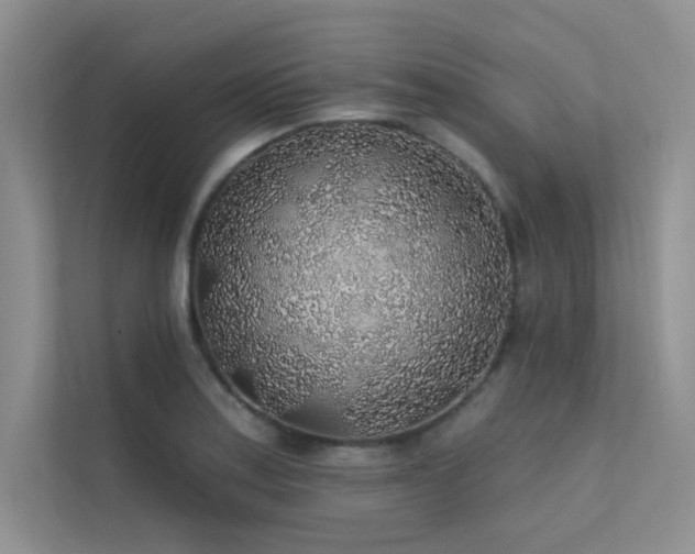 X0000112381179200908131523