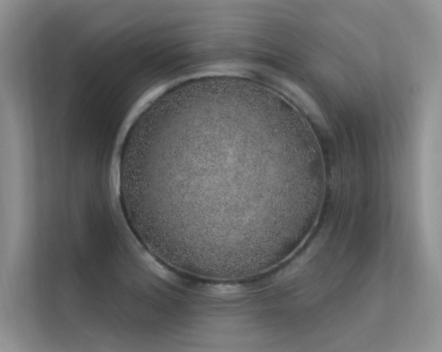 X0000112381180200908131523