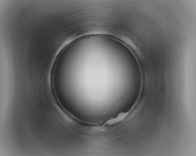 X0000112381181200908131523